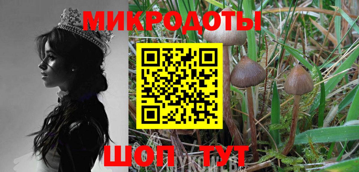 Псилоцибиновые грибы прущие грибы  Вход с VPN  Баксан 